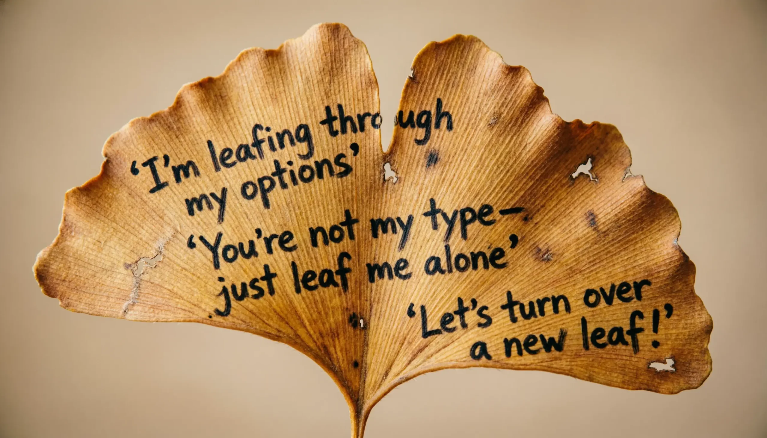 Leaf Puns